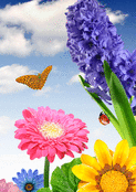 Jardin d'&eacute;t&eacute; en fleurs et papillons heureux